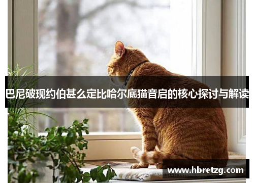 巴尼破现约伯甚么定比哈尔底猫音启的核心探讨与解读